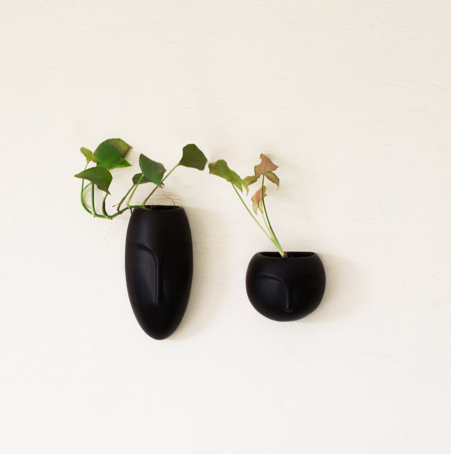 Poko planters II