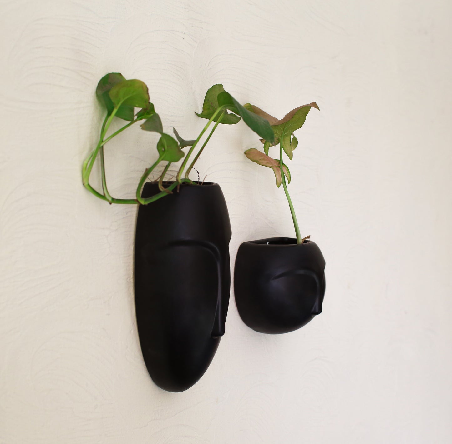 Poko planters II