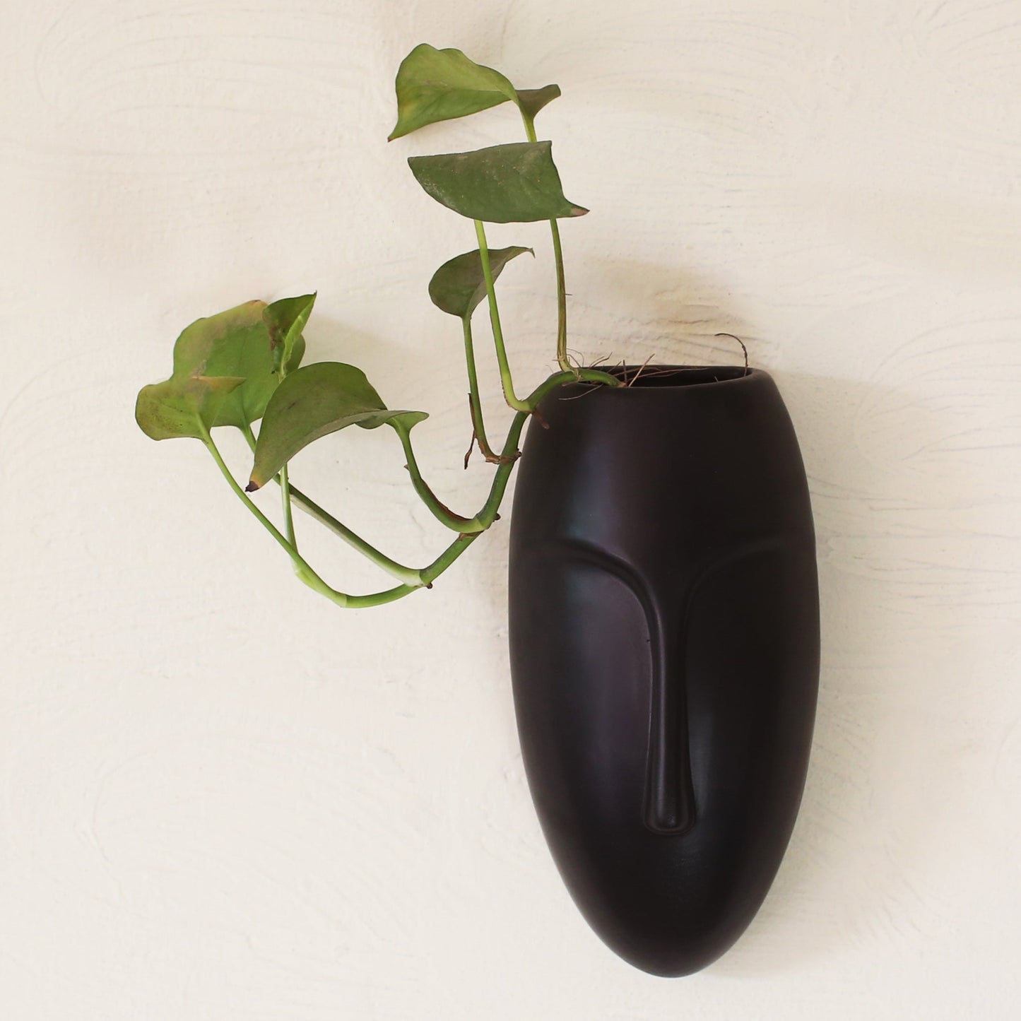 Poko planters II