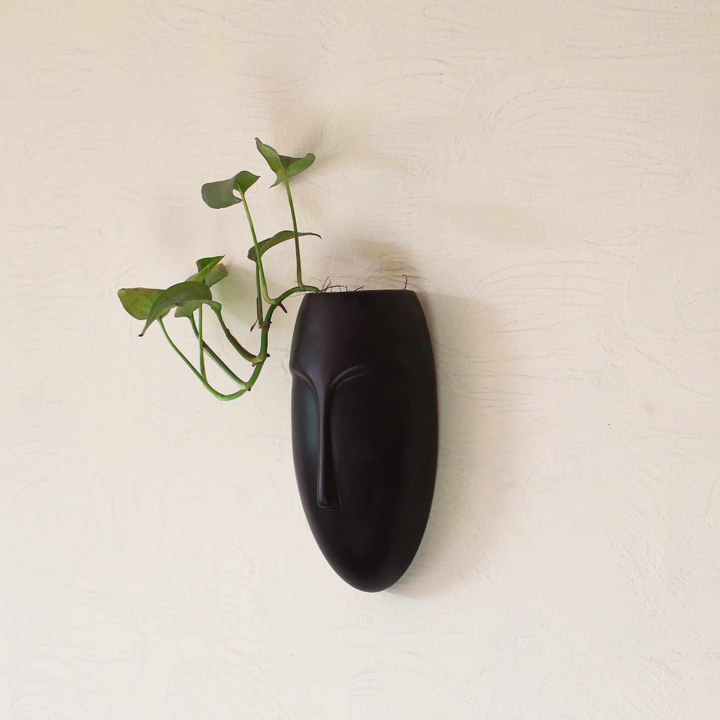 Poko planters II