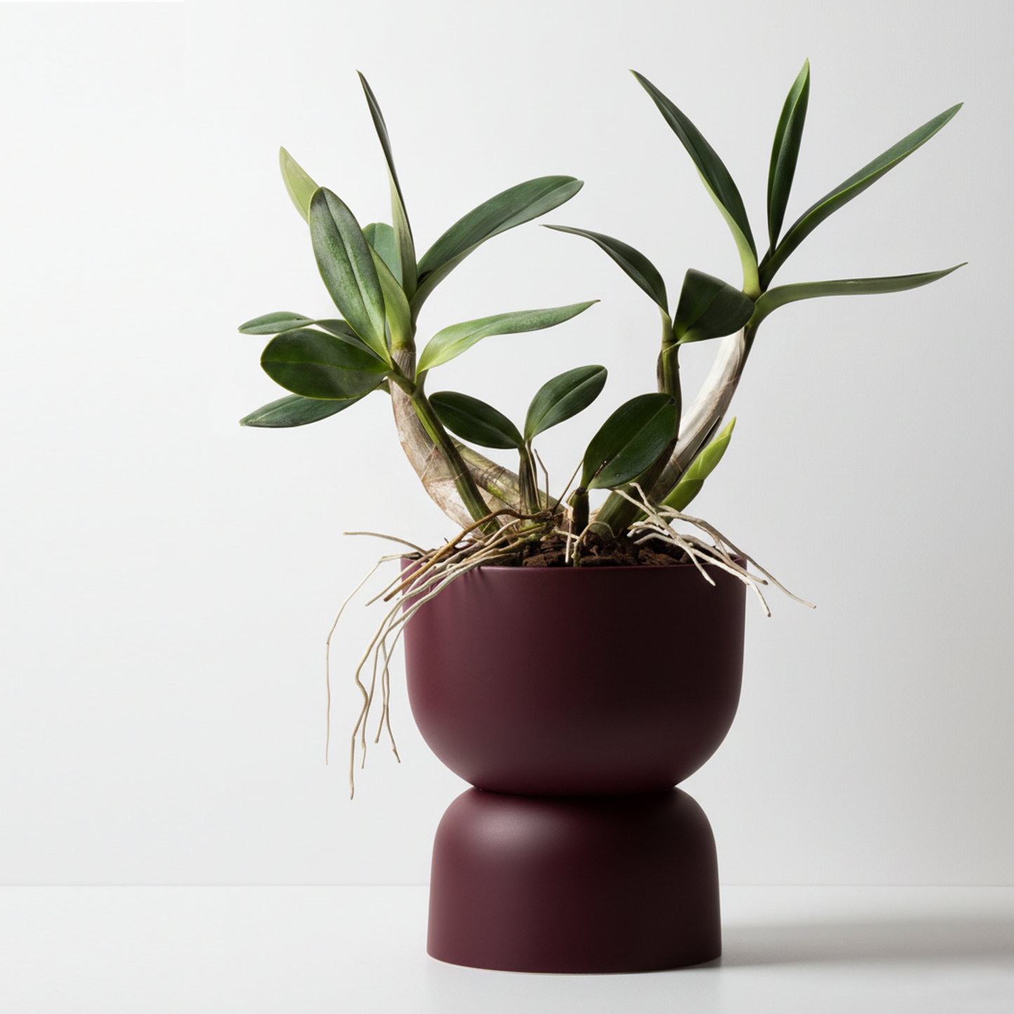 Aura Planter