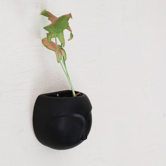 Poko planters II