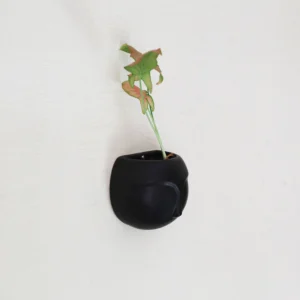Poko Planters 11 cm high